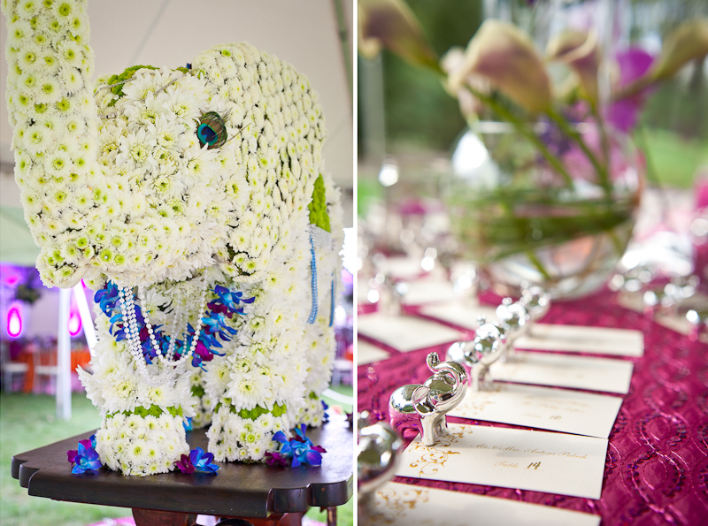 19_Indian_Wedding_elephant_Pennsylvania