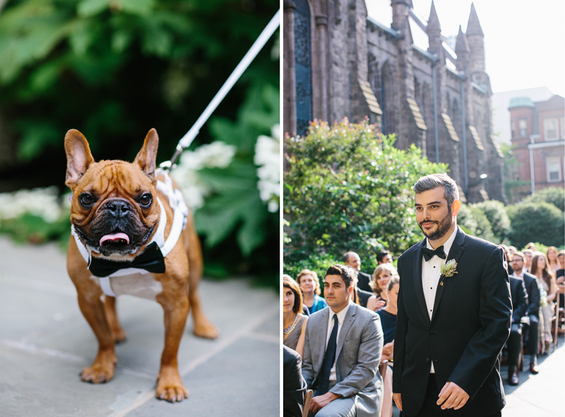 Bridal couple brings their dog down the aisle at this Philadelphia wedding