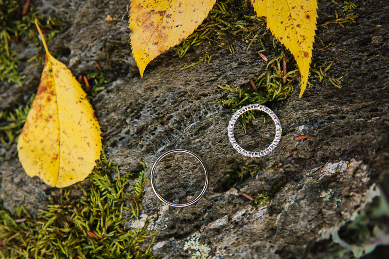 Wedding rings in yellow fall leaves