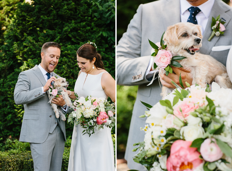 Modern bride and groom get married with their dog.