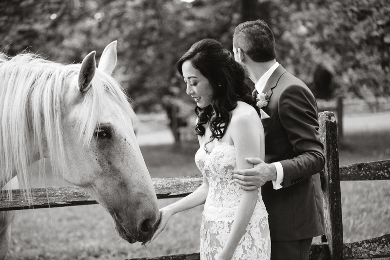 Black and white portraits of the bride and groom with a white horse at Grace Winery.