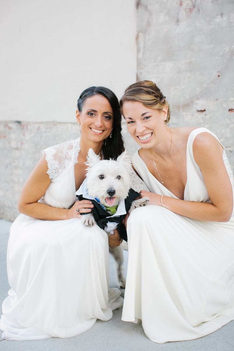 Same sex wedding Philadelphia dog