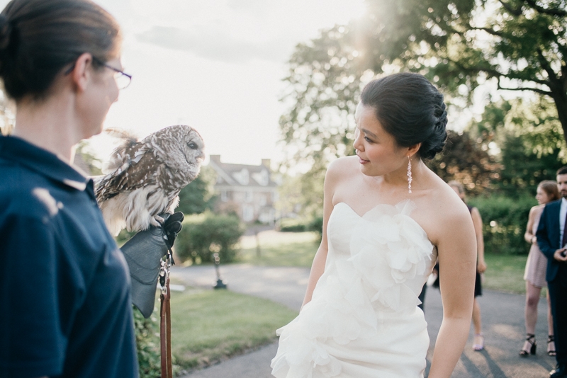 Wedding Owl in Audubon PA
