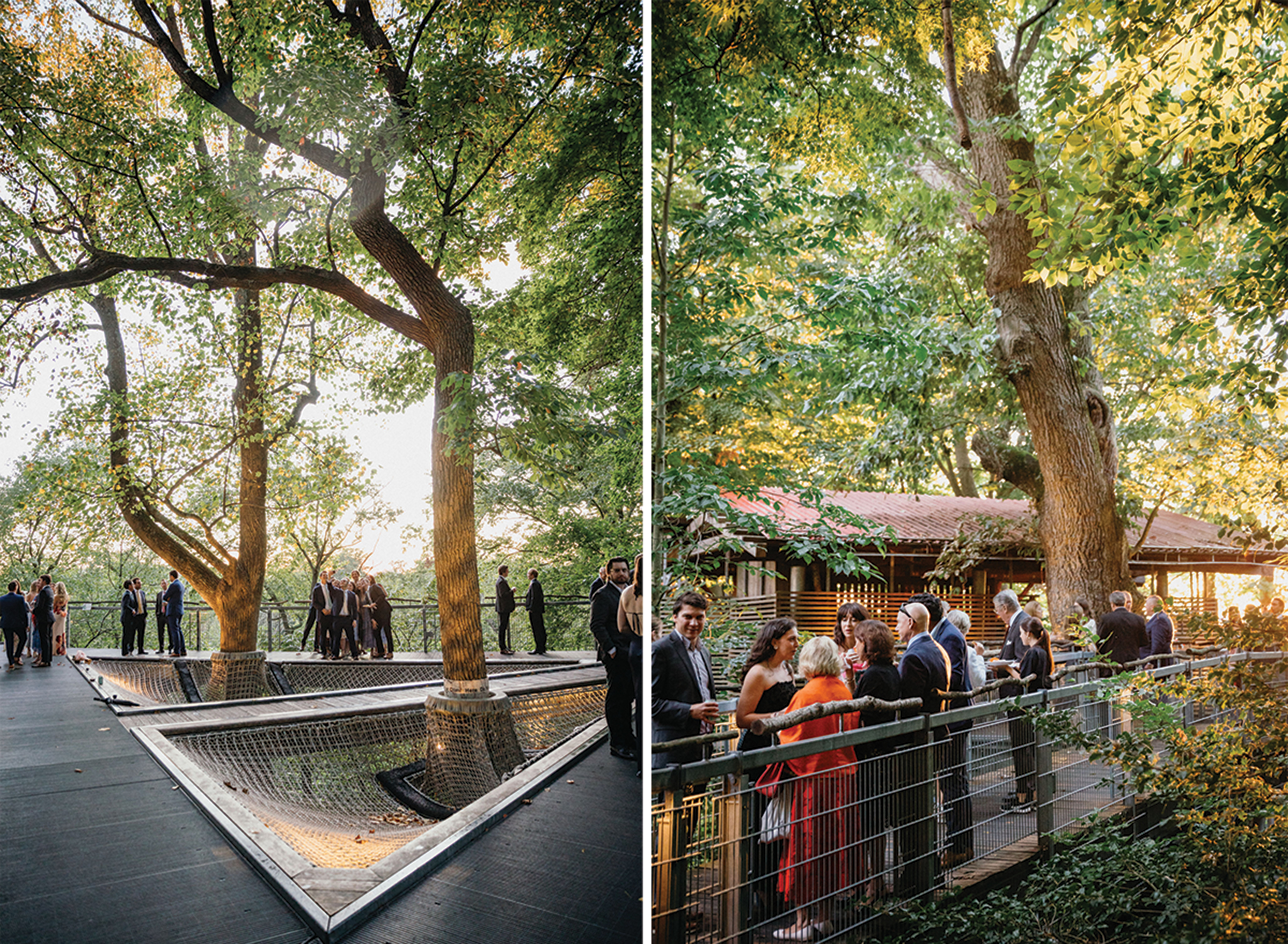 Wedding guests gathered on the outdoor deck at Morris Arboretum for a summer wedding.