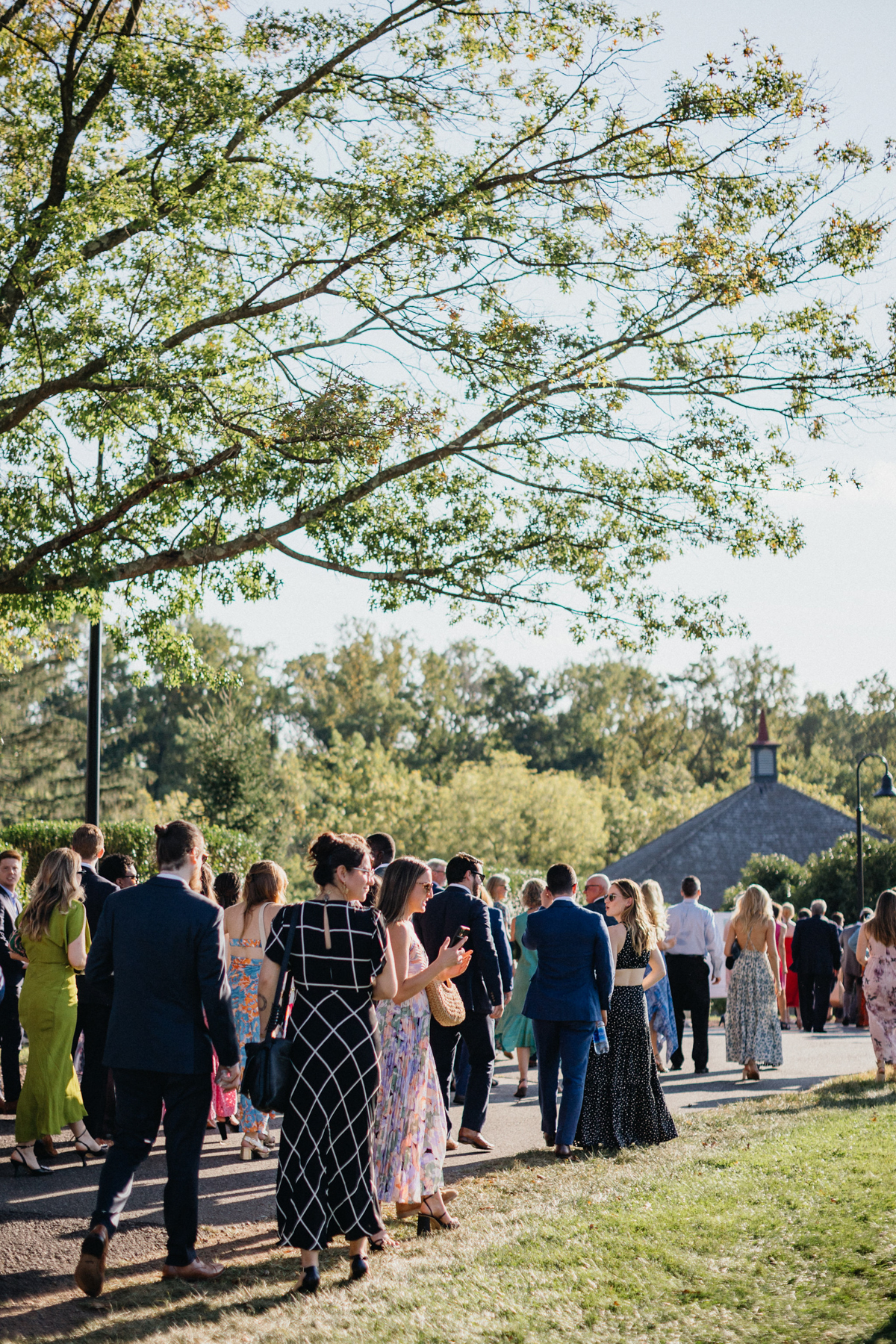 Guests mingling at an outdoor garden cocktail hour.