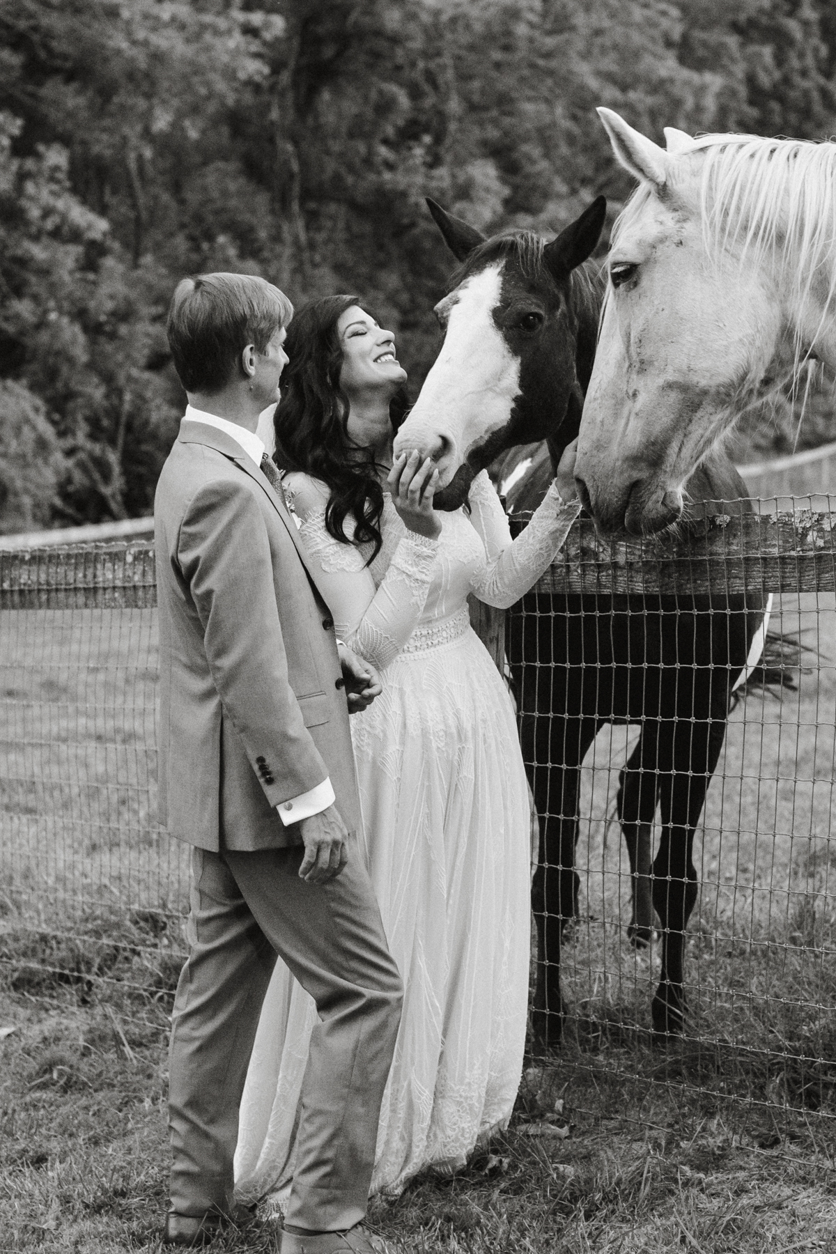 Bride and groom hanging out with animals at wedding venue with horses in Pennsylvania.