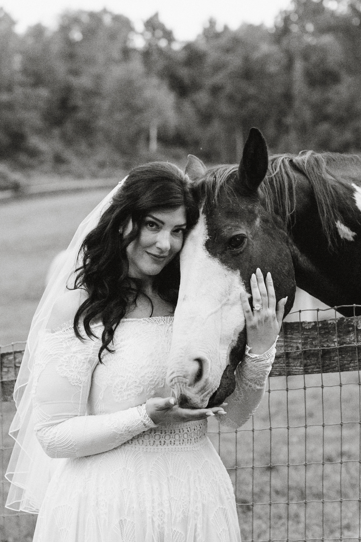 Bridal portraits with horses at vineyard venue in Bucks County.