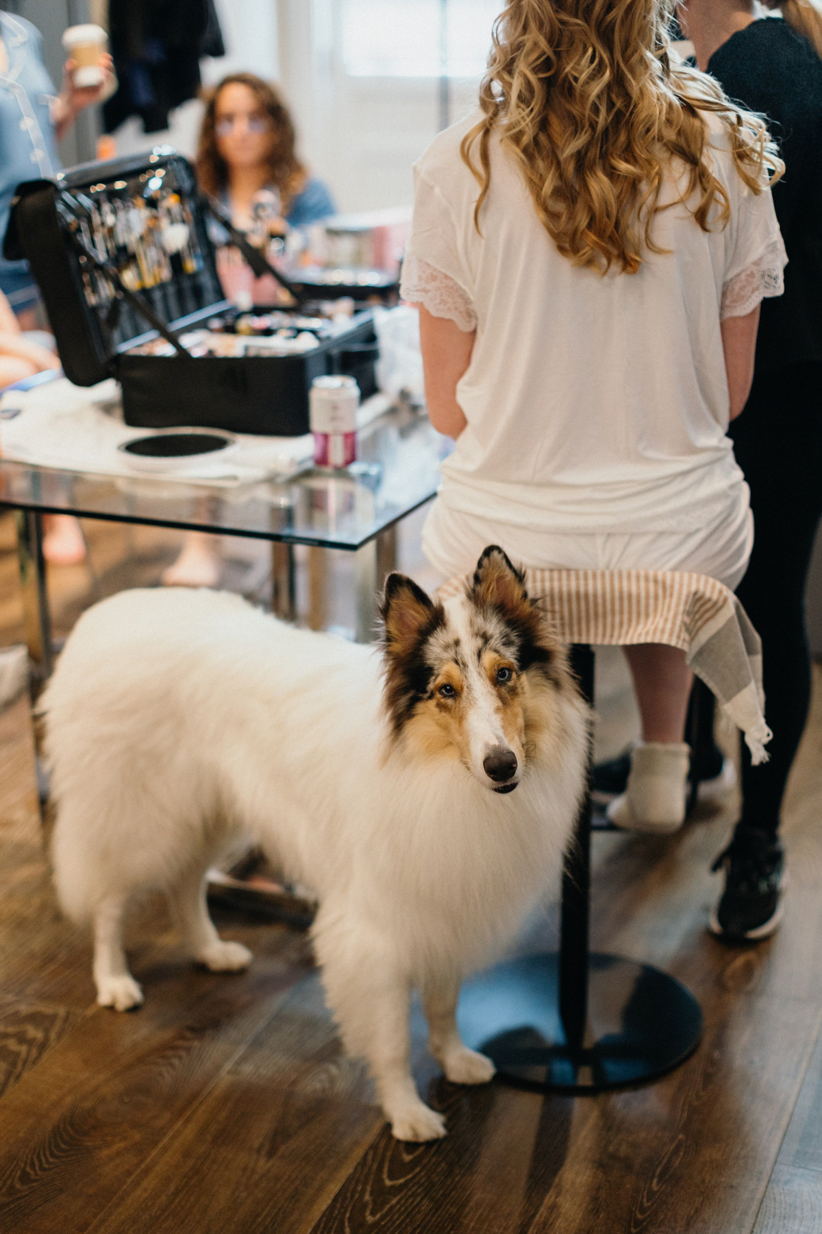 Documentary photo of dog captured before Morris Arboretum wedding. 