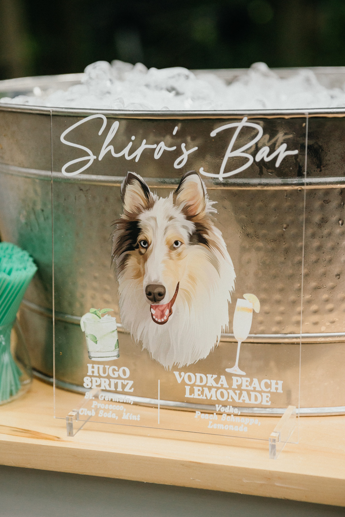 Sweet nod to their couples dog in the form of a bar sign for their wedding reception at Morris Arboretum.