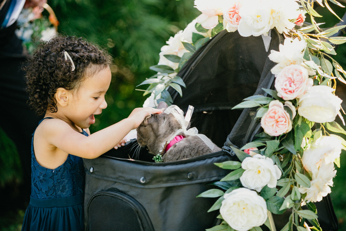 flower girl petting cat before ceremony
