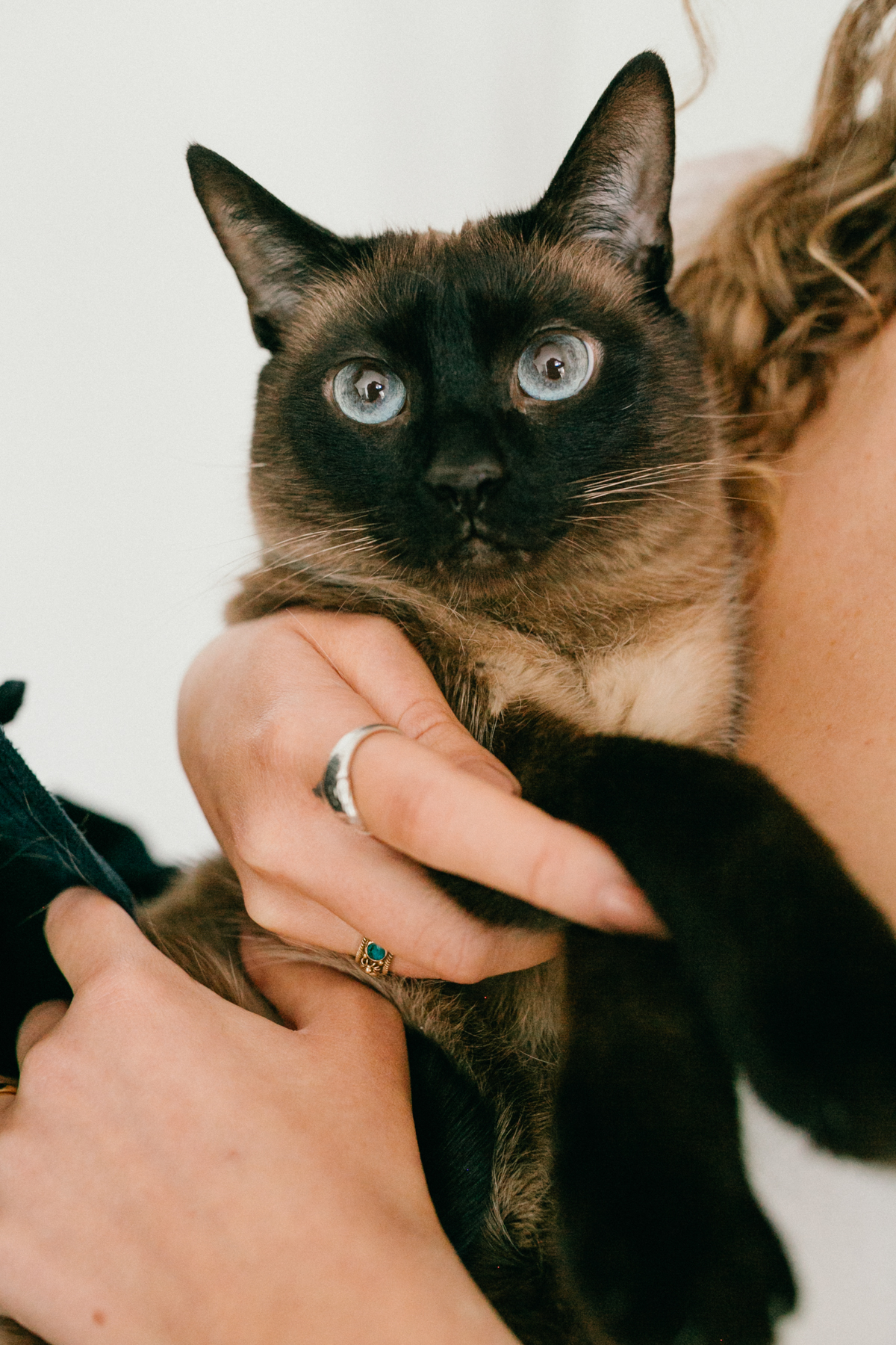 Personal touch to indoor engagement photos with couple and their pet