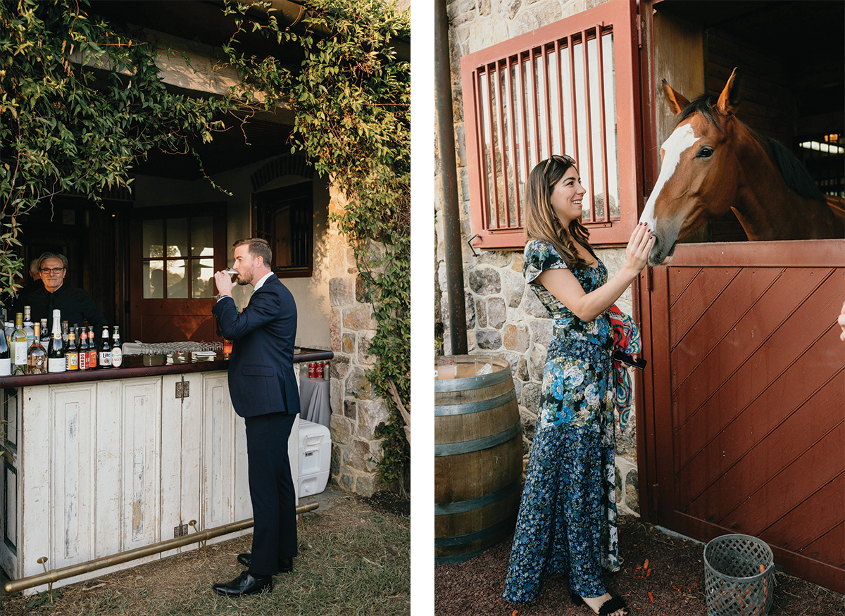 horse farm elegant backyard wedding