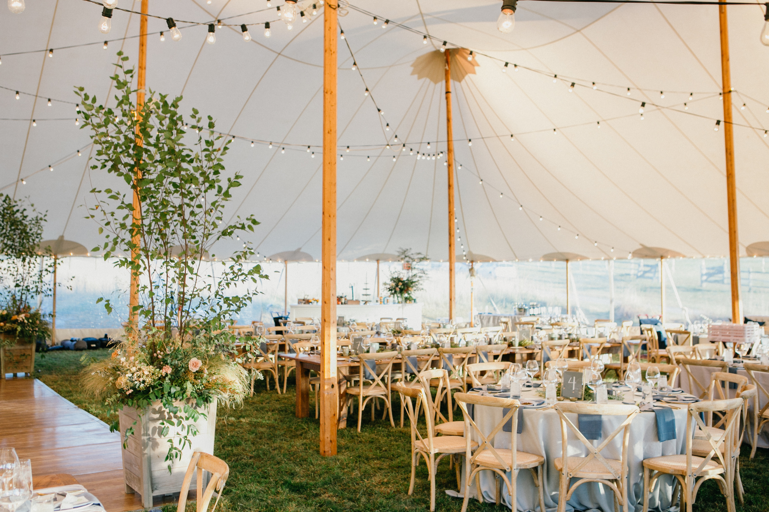 elevated and elegant tented backyard wedding reception