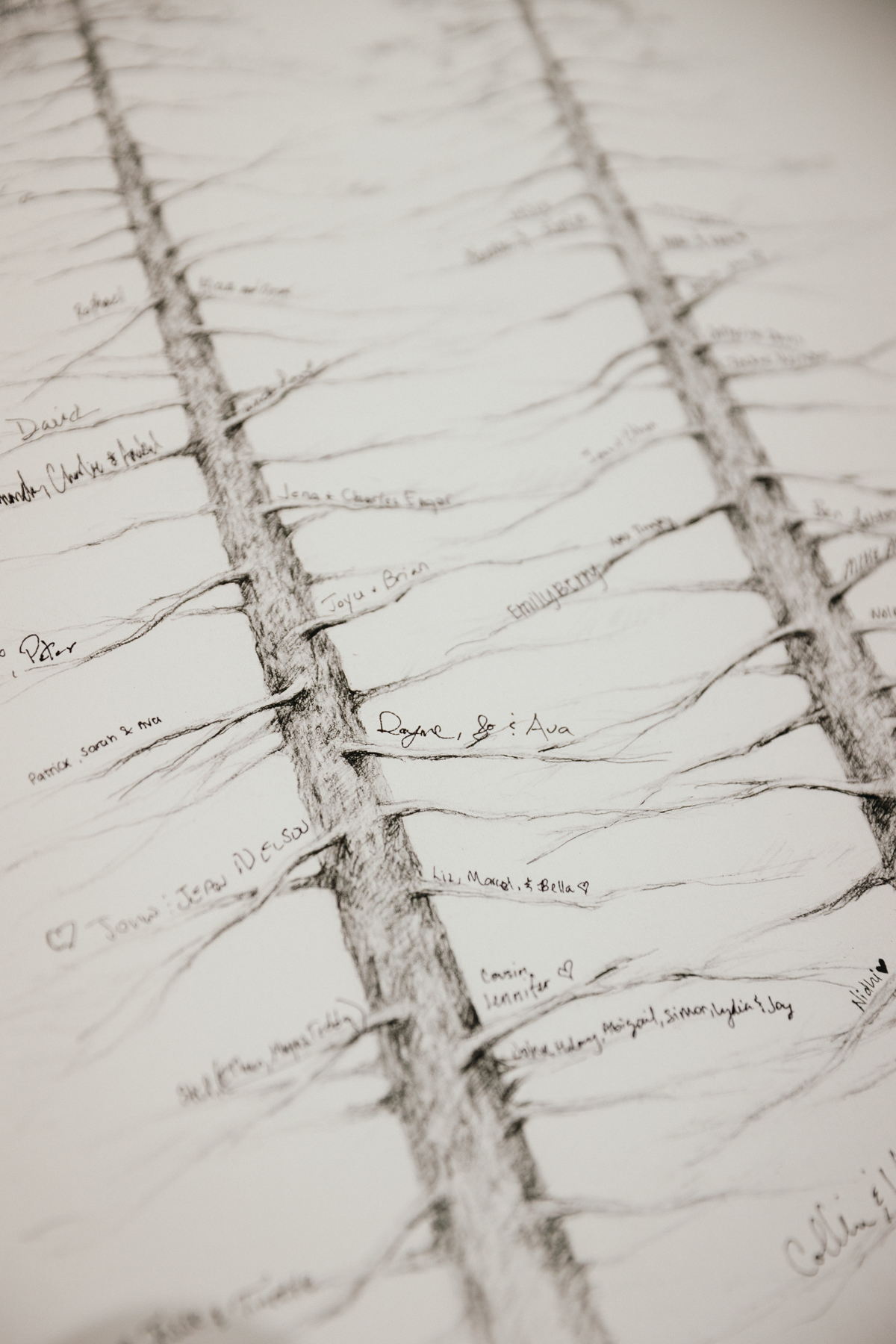 tree wedding guest book
