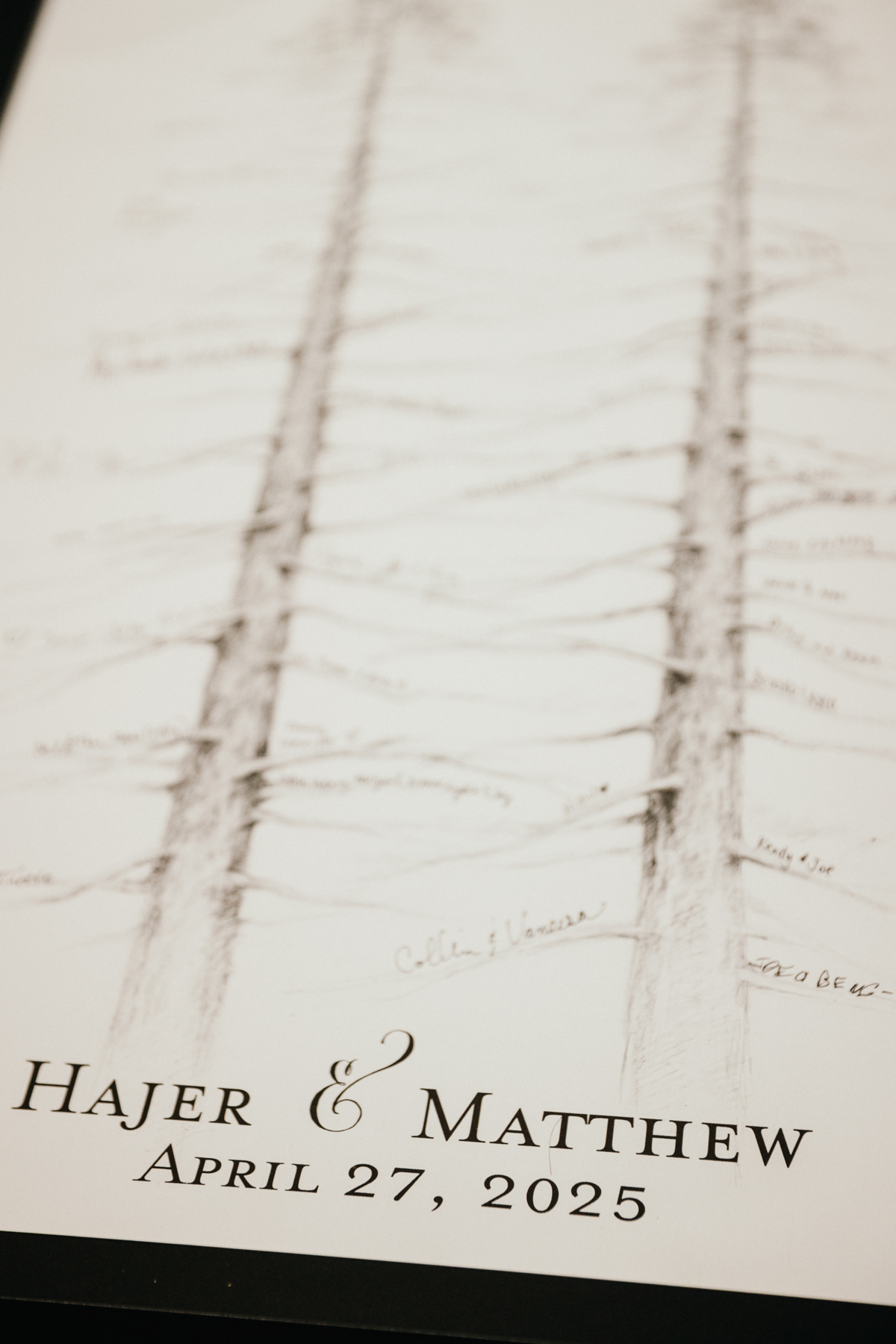 tree of life guest book wedding portico