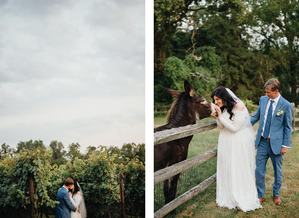 Romantic sunset photos in the fields at Grace Winery