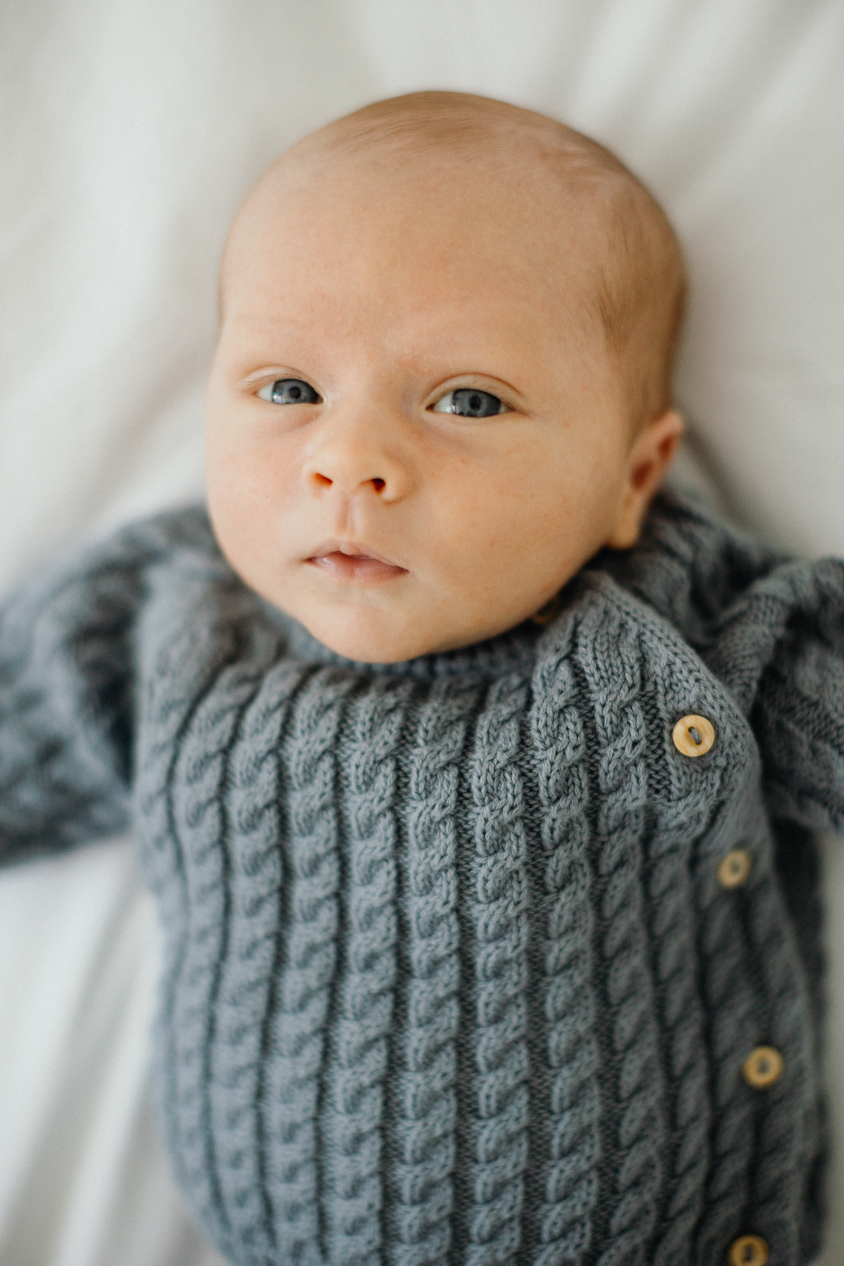 newborn photographer in philly