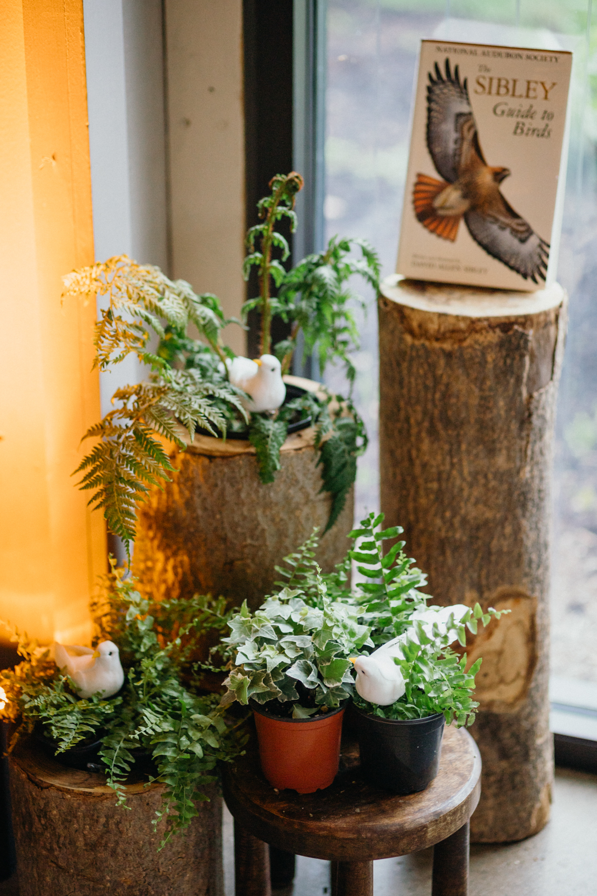 woodland wedding decor