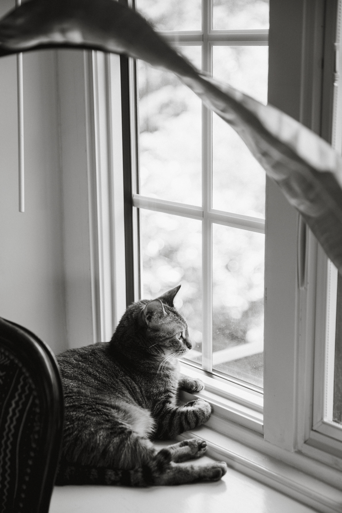 philadelphia documentary newborn photographer