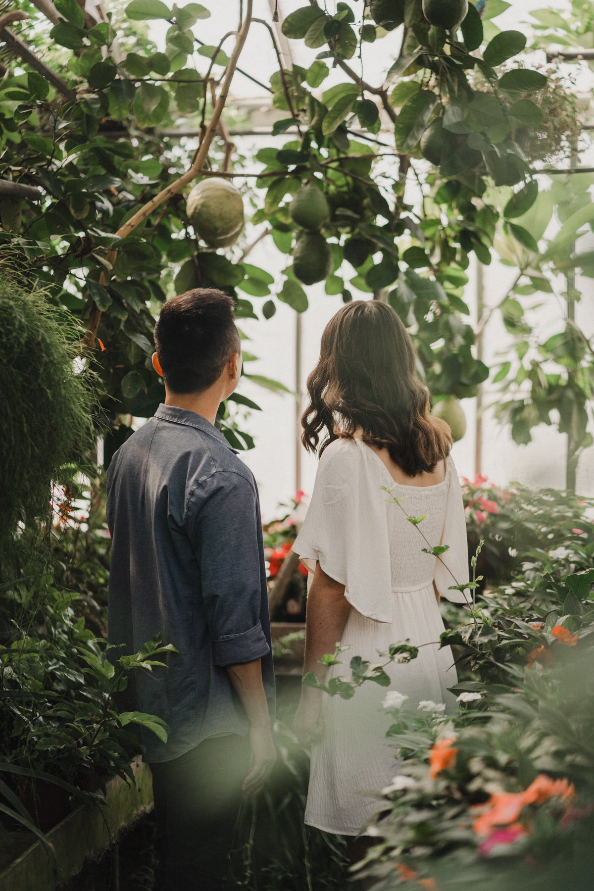 botanical gardens engagement photos