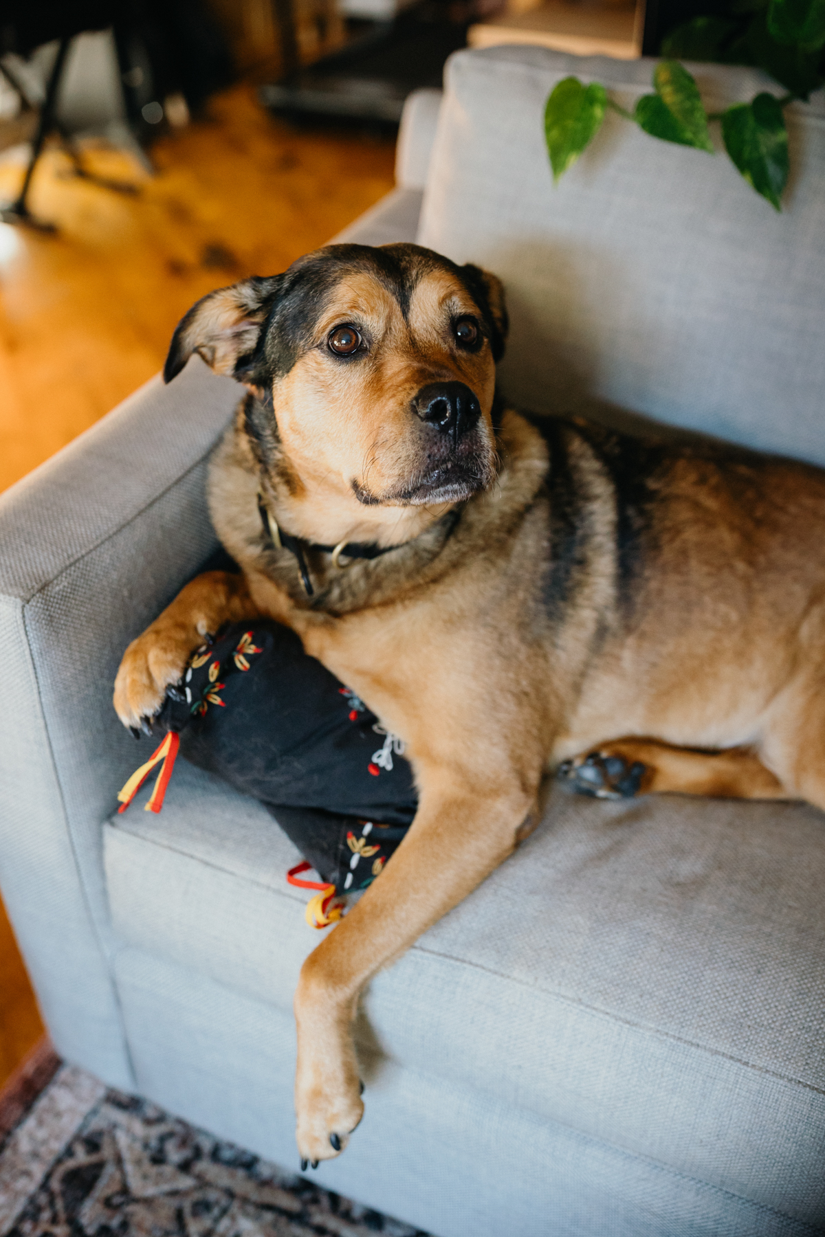 indoor engagement photoshoot