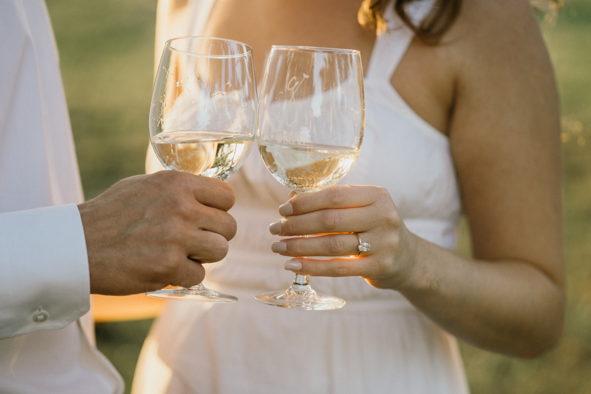 picnic engagement