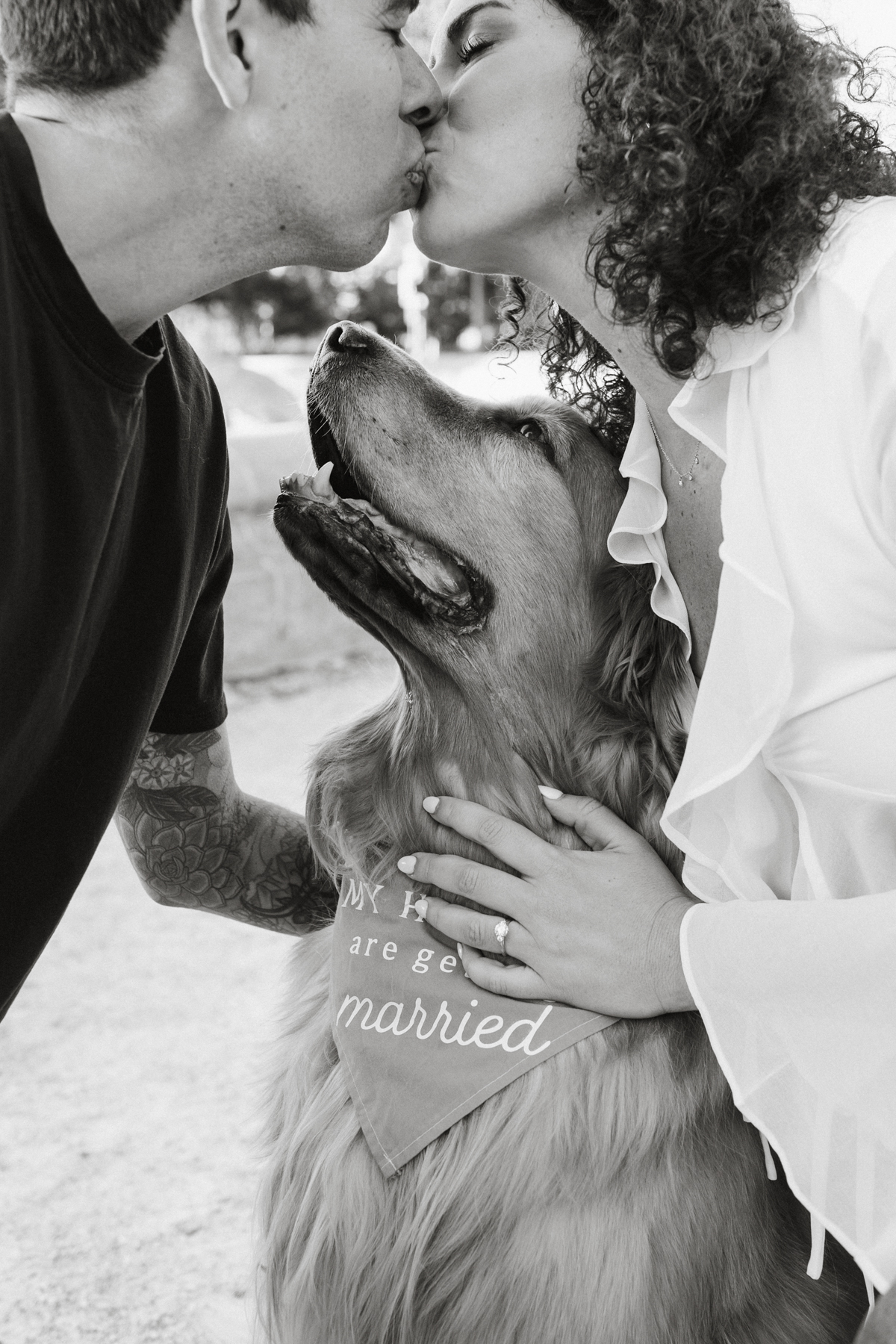 engagement photos with your dog