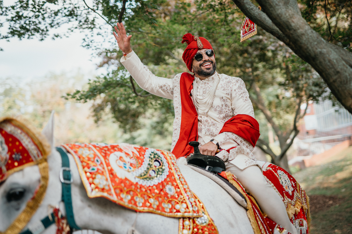 philly baraat horse