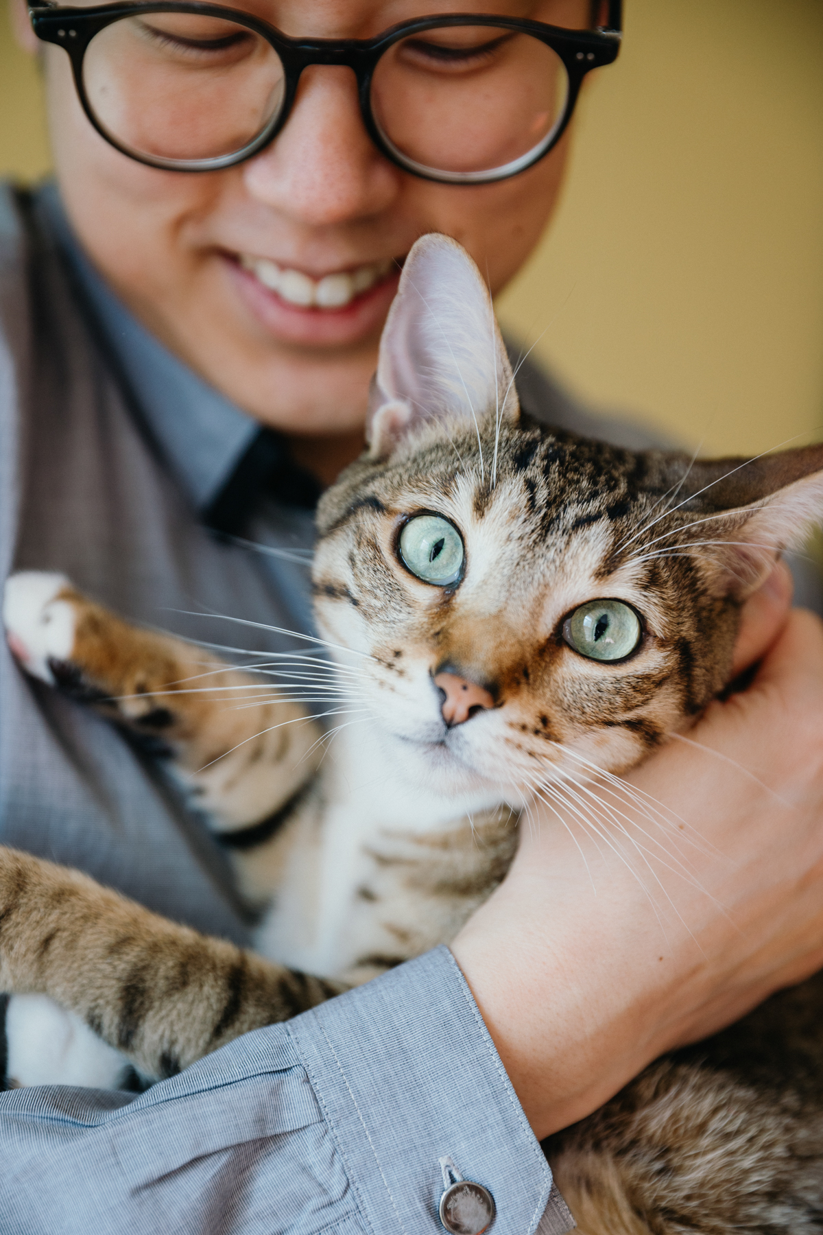 couples photos with cat